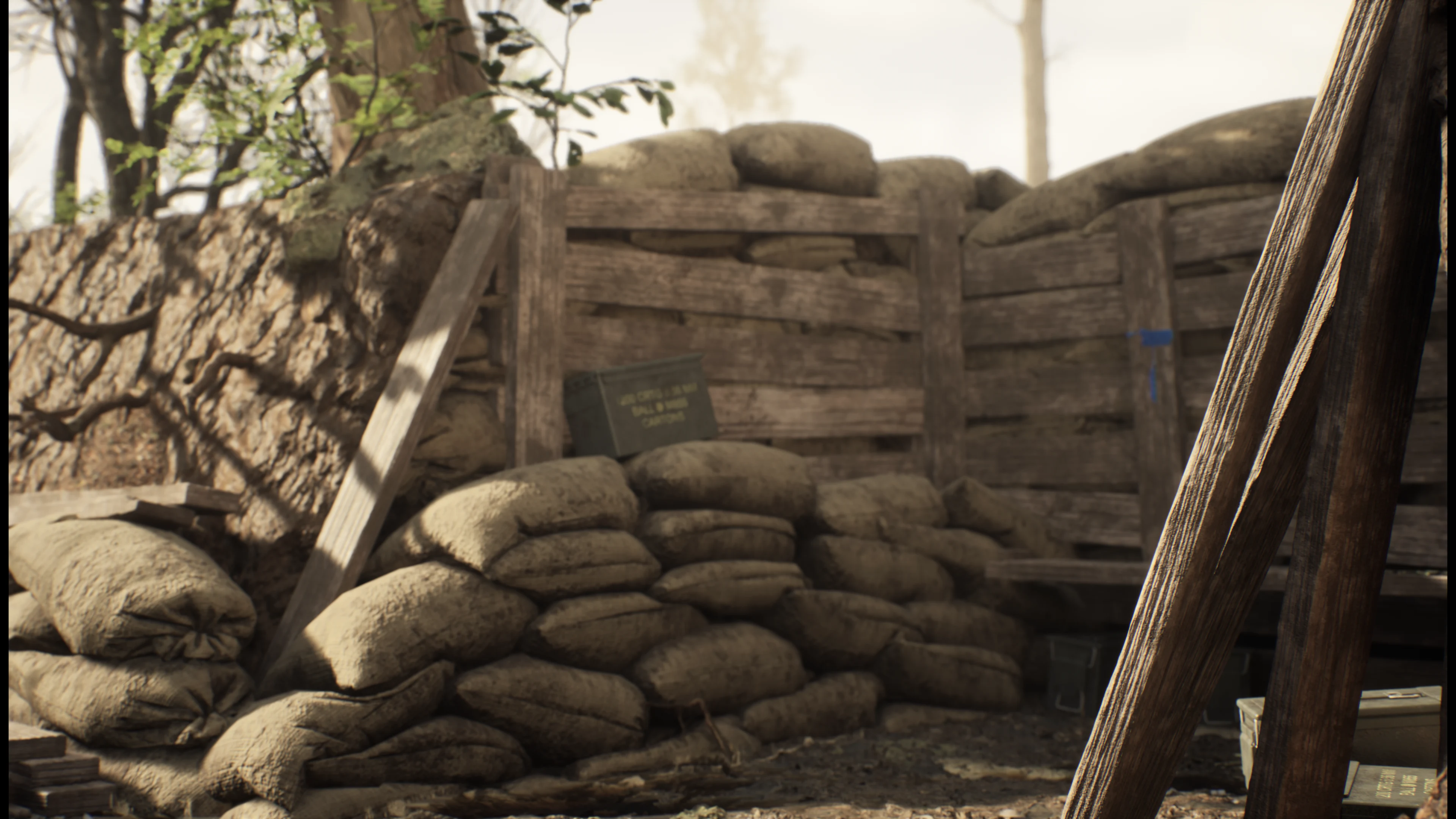 Deserted Trench