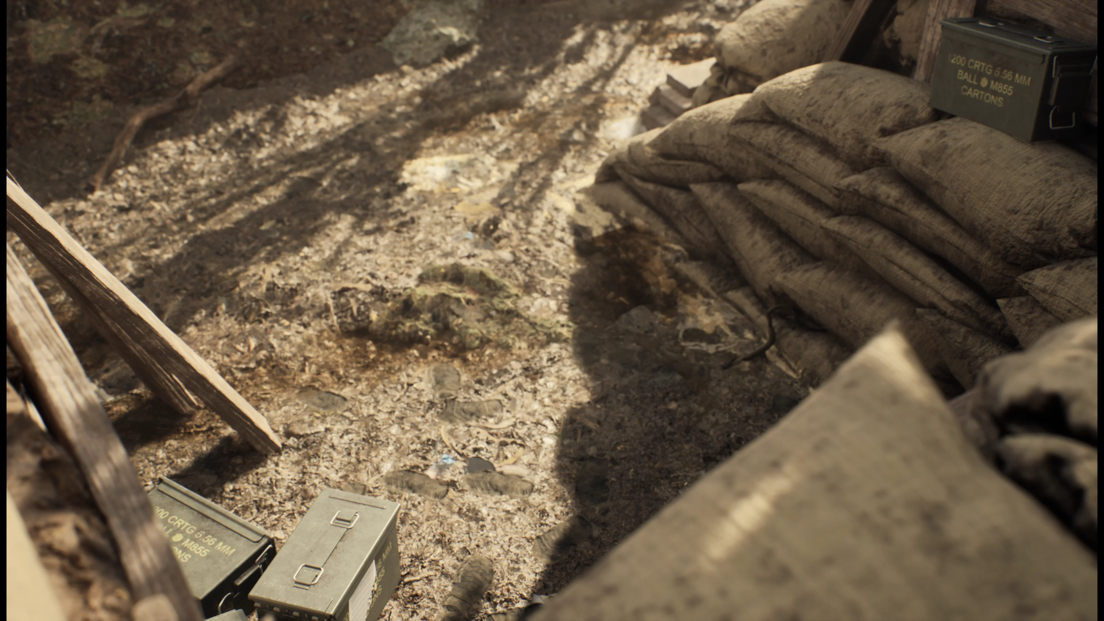 Deserted Trench - additional view